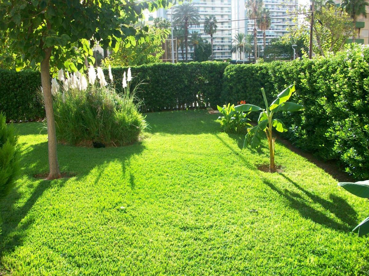 Don Ximo Gandia - Alquiler Solo Familias Apartment Playa de Gandia Екстериор снимка